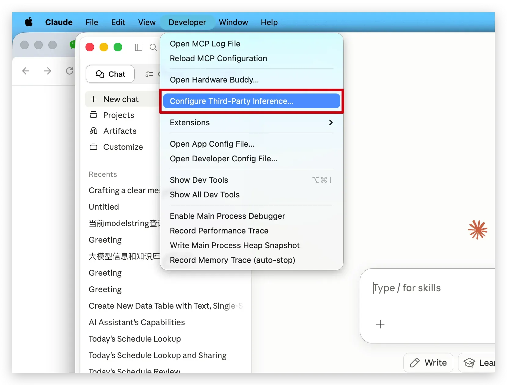 Configure third-party inference 设置界面